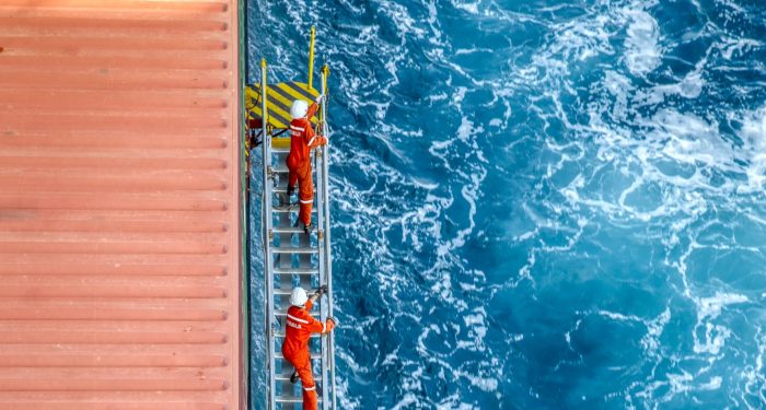 Image Credit: Mintra