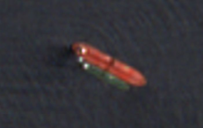 Zombie vessels and the grey fleet