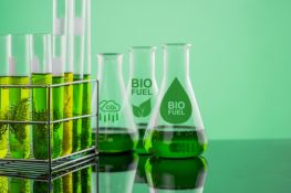 First biofuel bunkering operation completed at Fujairah Port